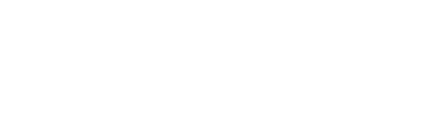 Toronto Maple Leafs
